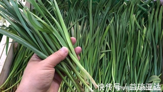 炒韭菜|买韭菜时,挑选宽叶还是窄叶的?菜农:别再挑错了,难吃还浪费钱