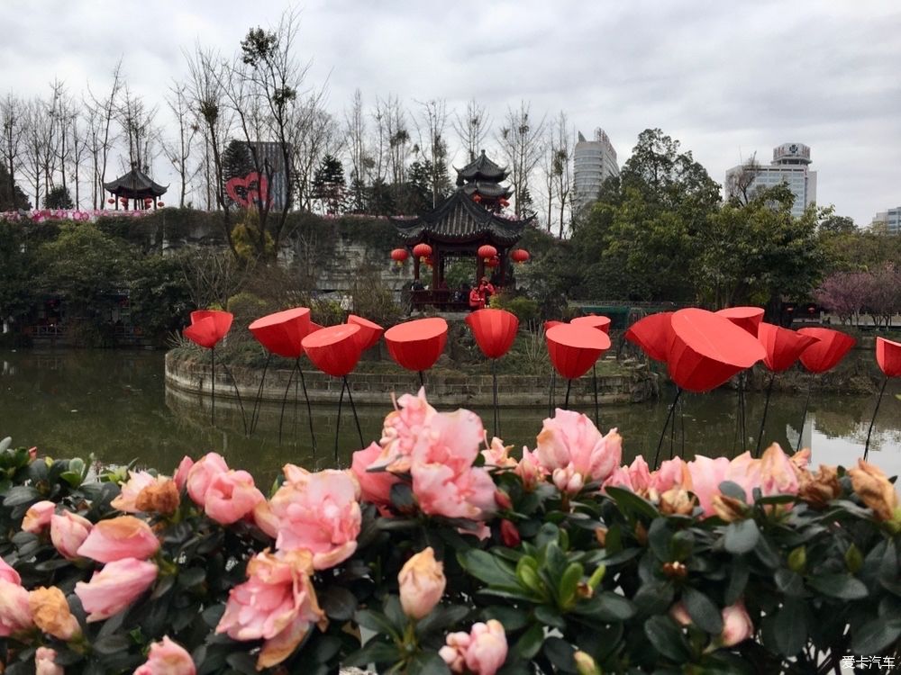 沙滩|游公园，骑单车逛成都，打卡最炫双子塔灯光秀