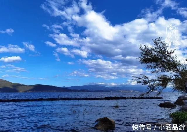 从一颗到500多盆，遇见多肉后，满眼全是你！