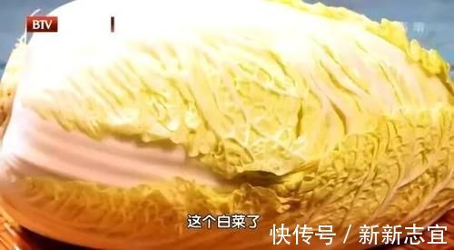 香菇|秋吃果，冬吃根！多吃這6種“根”，強體質、暖全身，安穩過冬
