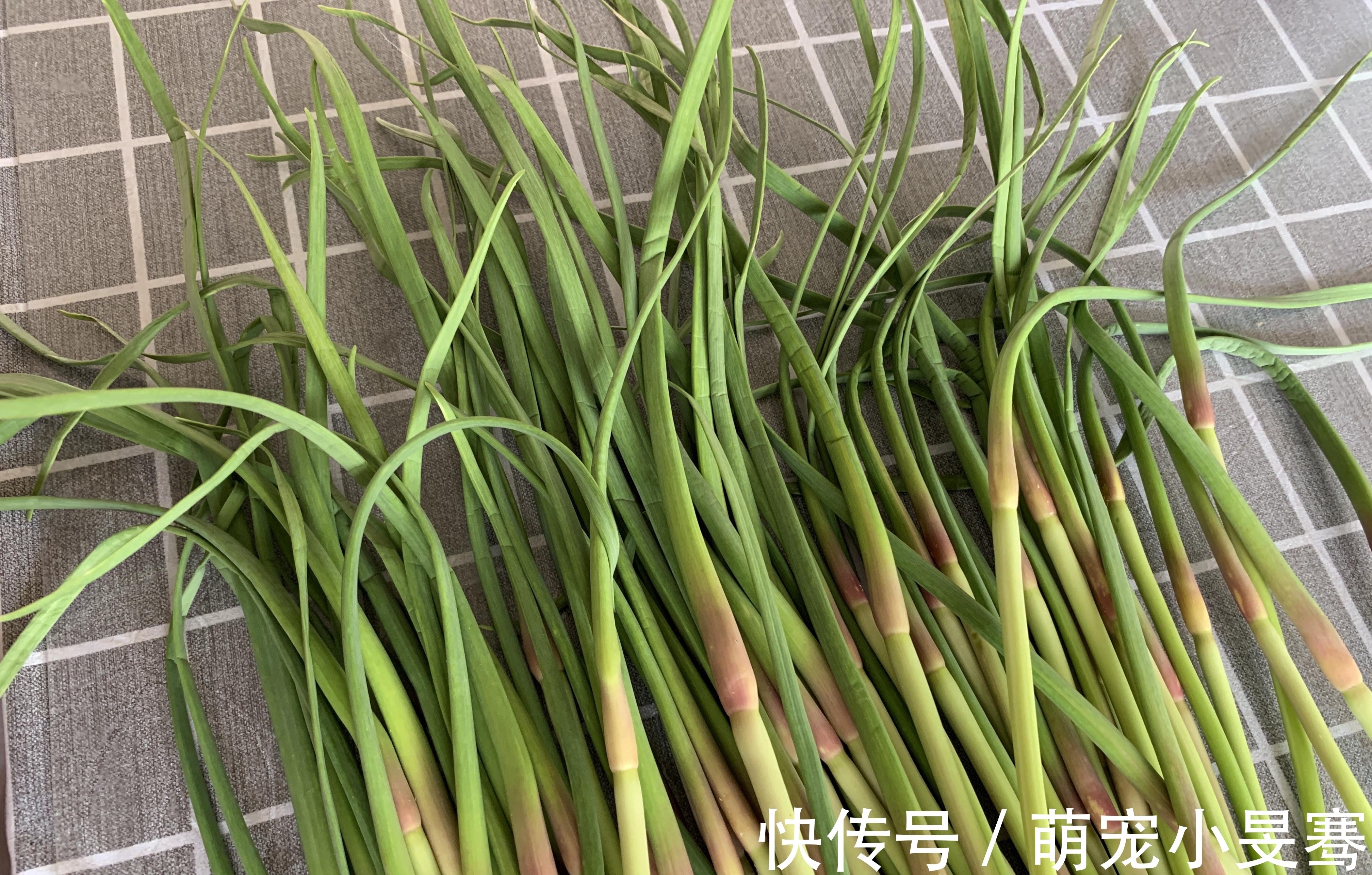蒜苔|买蒜苔,要分清“红帽”和“黄帽”,区别挺大,买错难吃还费钱