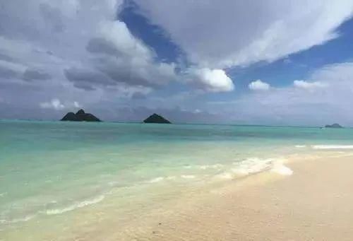  梦想还没|一家4口全部患癌, 决定结束生命！一个转念，奇迹发生了...