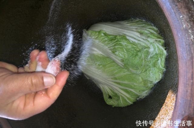  腌酸菜，东北大娘教你3个技巧，保证酸香脆爽，久放不霉，超好吃