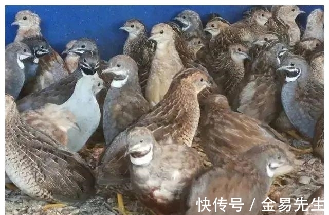 Bet365- Bet365官方网站- Bet365 APP下载政府工作报告