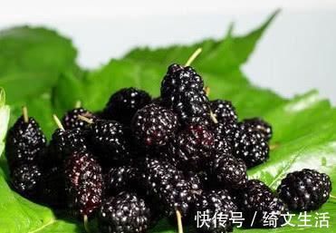 染发剂|白发变黑有妙招, 洗头时悄悄加点“它”, 黑头发慢慢长回来