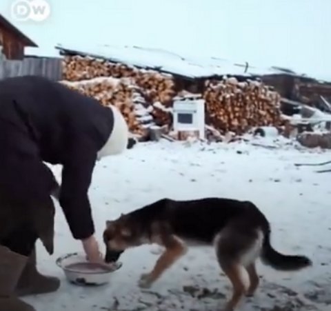 零下40度，80岁奶奶在贝加尔湖上独自生活！网友：这才是艾莎公主吧