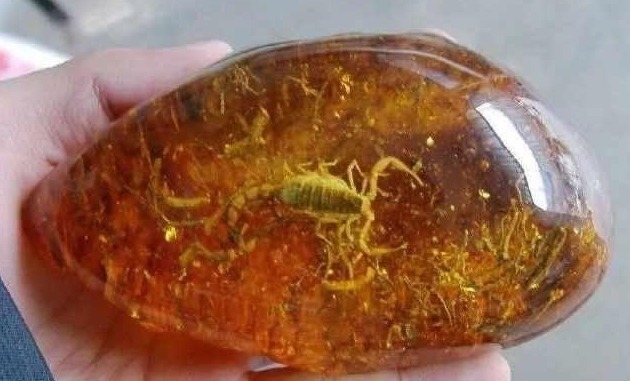 没想到|儿子放学路上捡的一块不起眼的石头,没想到,却改变了全家的生活