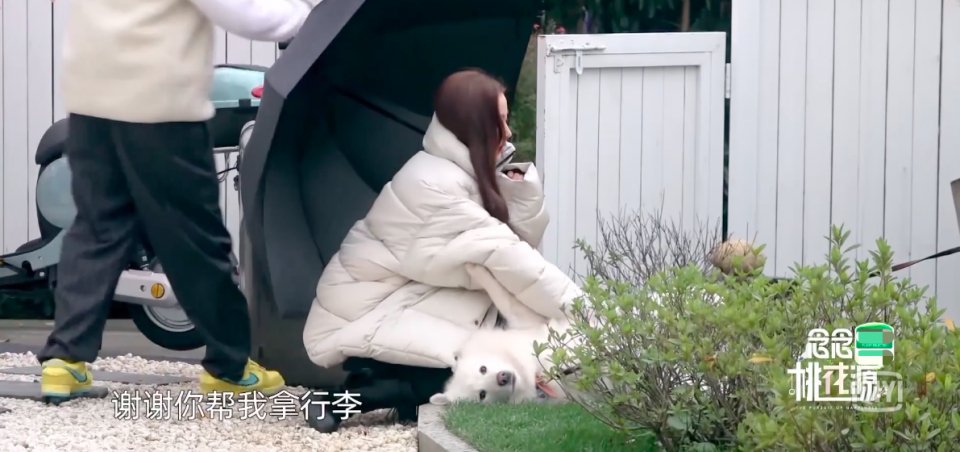 張天愛的“迷惑”行為！送男嘉賓搓澡巾，騎車掉鏈子把自己摔水坑