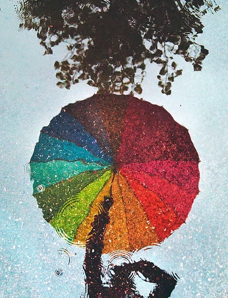 雨滴|一场春雨一场暖,春雨怎么拍才有味这些作品给你灵感