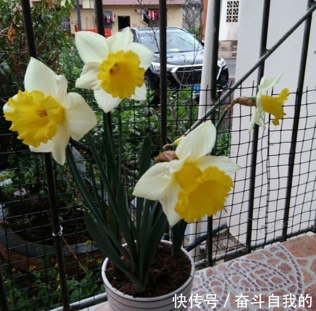 别再稀里糊涂养花了,这些基础常识,很重要!