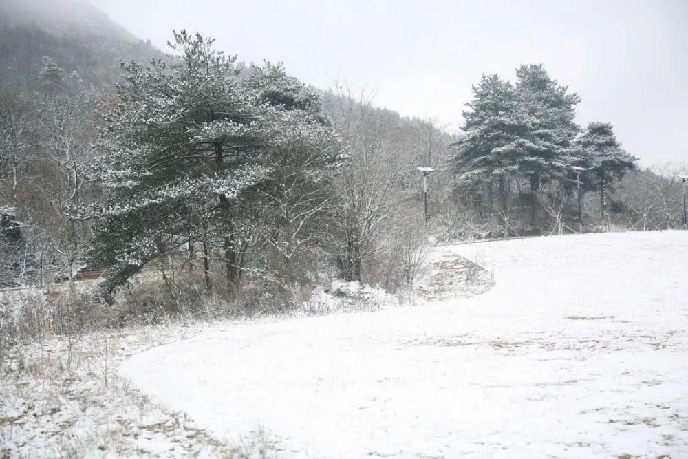 下雪|太美了！月坝下雪啦，刷爆朋友圈！