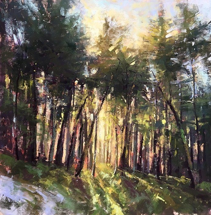 美国#美国艺术家阿奎尔柔和的风景油画,画里充满了阳光温馨美好