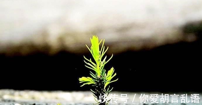 人到中年$人到中年, 一事无成, 熟记老祖宗的这三句箴言, 日后必成大器