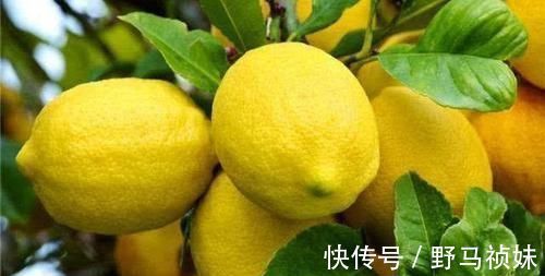 排毒|人到中年想长寿,坚持吃3种食物,排毒清肠,降压减脂,早吃早好