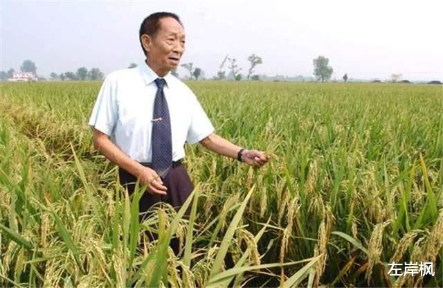  们再也不用|复旦大学教授陈果老师：作为中国人你骄傲的是什么呢？