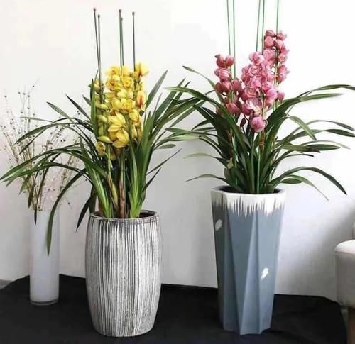 简欧|为了让客厅大气，我任性放了4种花，现在谁见了都说好看