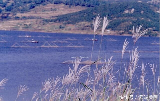 《伏天氏》叶伏天假死,花解语觉醒,书友关心夏青鸢
