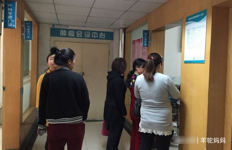 男孩|怀孕后孕妈心跳变快说明“怀男孩”?多数宝妈深信不疑,真准?