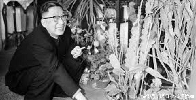 赵清阁:老舍念念不忘的女人,发现自己是第三者后,果断离开