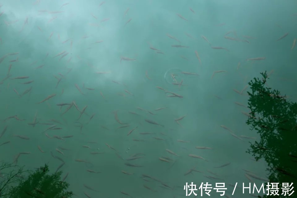 海子|神奇的人间天堂 九寨沟