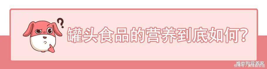 保质期|保质期长真的是添加了很多防腐剂这次就为罐头食品正名