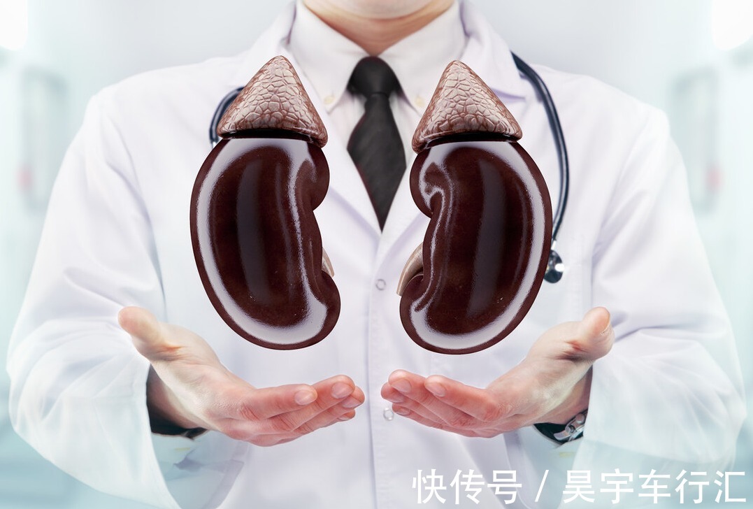 肉苁蓉|肾脏的“黄金水”,一周喝3次,不怕老婆闹翻天