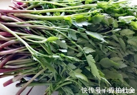 长在水边的野菜,营养不输菠菜,11月正鲜嫩,4元1斤记得买来吃