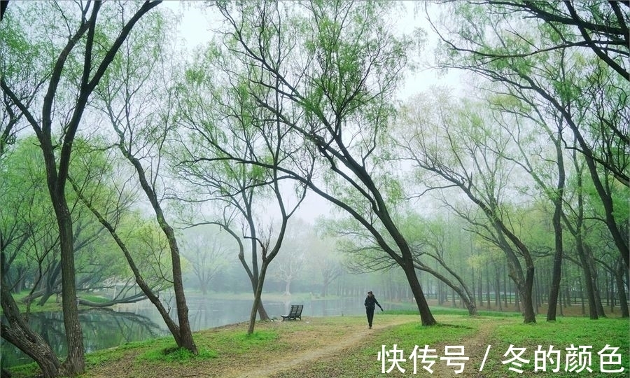 柳黄!诗:早春十首