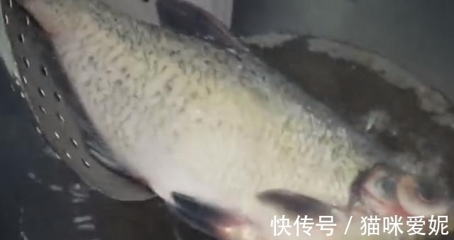 原来正宗的红烧鱼是这样做，大厨教你几个技巧，好吃解馋超下饭