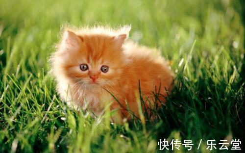 |幽默笑话:媳妇儿回娘家帮忙来不及回家,晚上我陪儿子睡觉