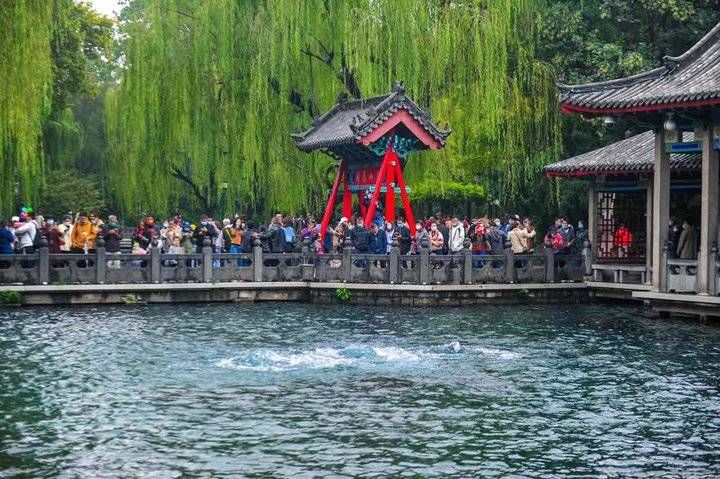 趵突|趵突腾空胜景再现，看泉水游客云集