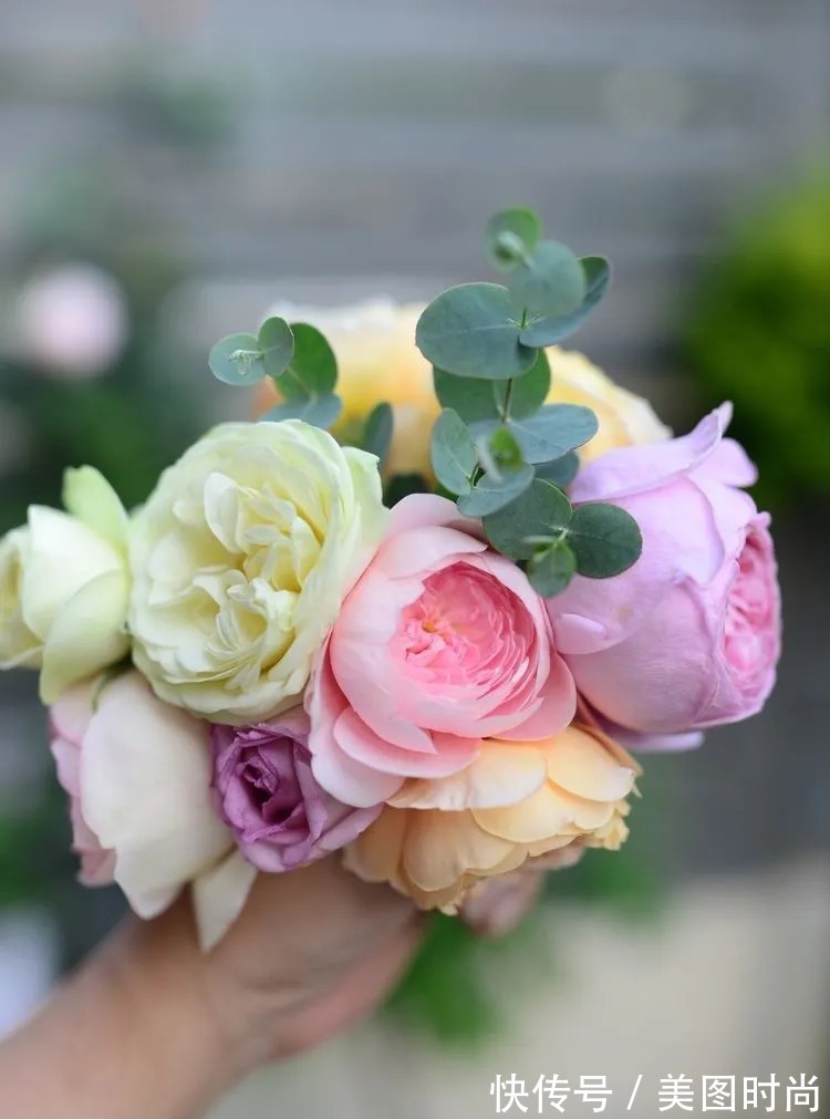 防腐木|为了这个45㎡小院子，坚持买了一楼，打造成花园后比别墅还好看