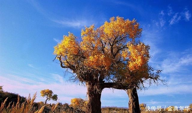 奋斗|马识途人到五十,有一件事比奋斗重要,谁能做到就是成功