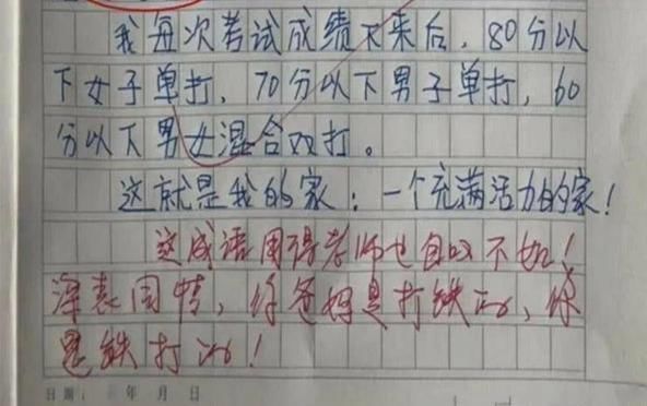 小学生的满分作文火遍网络，全篇用了14组成语，网友：自愧不如