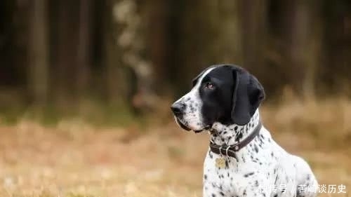 实人|古语:“家有三喜出能人,宅有四实人富贵”,指的是哪三喜四实?