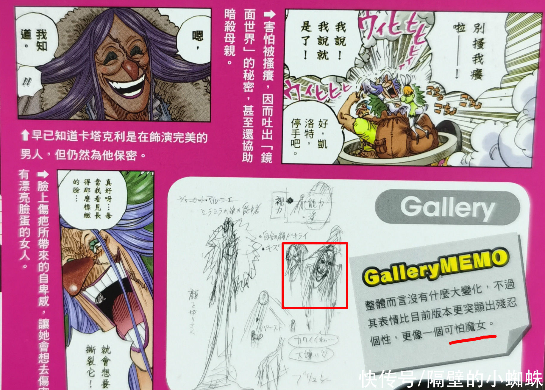 海贼团|海贼王生命卡：布蕾的“人设图”公开，尾田表示她是个可怕的魔女