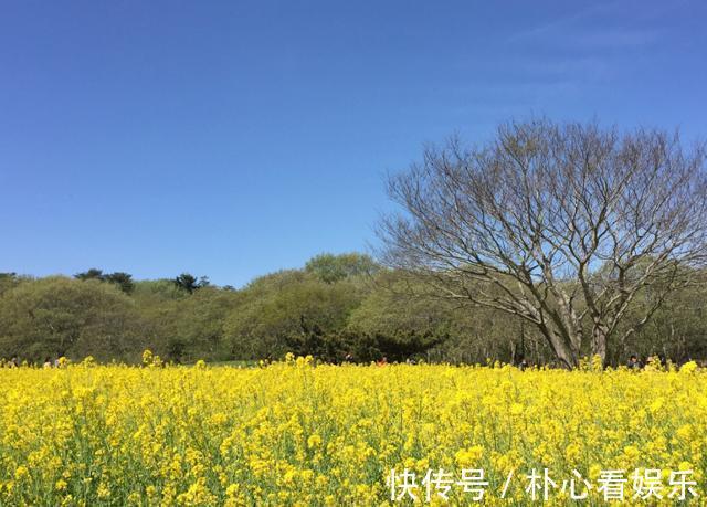 一年四季|日本最漂亮的花园，一年四季花开不败，景色绝美如仙境