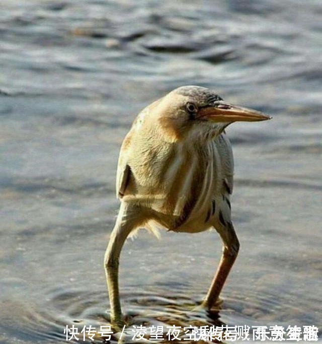 剪不剪|小长假不看点沙雕图怎么过!这世上竟有如此沙雕的手办!