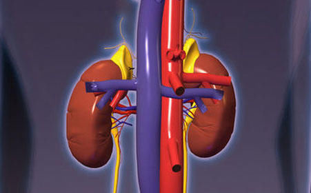 舒张压|治高血压，却得了肾病！医生说，这几种服用方式，万万要不得