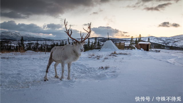 23个冷知识：看起来很有趣，但却没有地方能够使用的奇怪知识