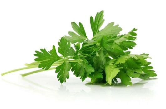 茄子|秋季养生要会吃，推荐4种食物，排毒清肠，增强体质，早吃早受益