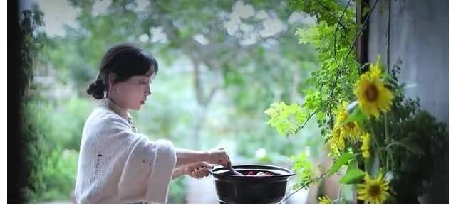 辰海资本|消失71天的李子柒,正站在暗处“嘲讽资本好手段”?