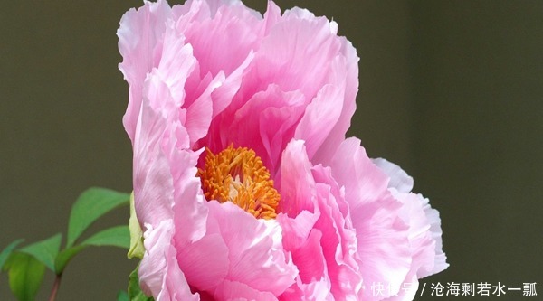 皮肤护理看起来很麻烦,但其实很简单。记住8件简单的事情!