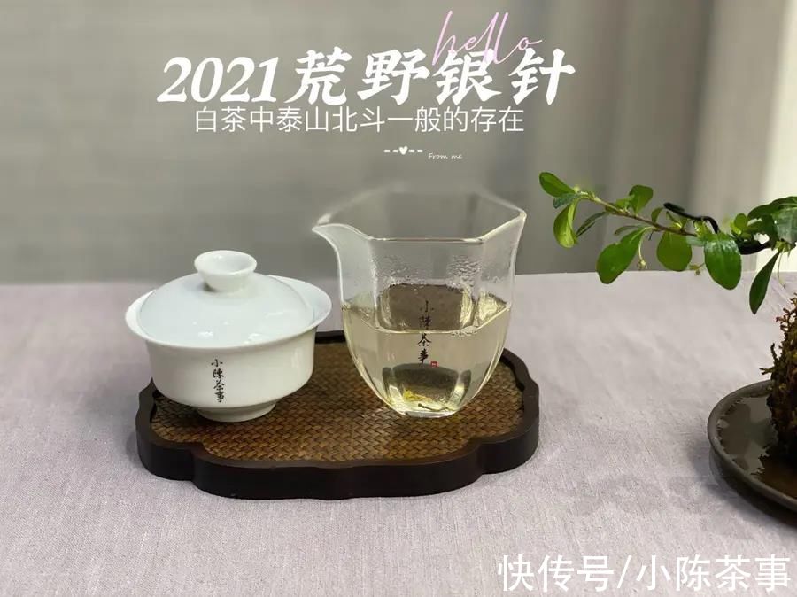 白毫银针$泡茶水温重要吗？80℃、90℃、100℃，谁才是泡白茶的最佳水温？