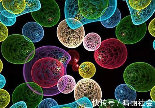 宝宝|怀孕后,胎儿的这3种表现是在保护妈妈,看完后感觉很暖心