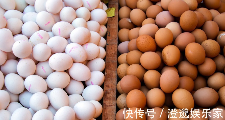 溏心蛋|鸡蛋，鸭蛋，鹅蛋，鹌鹑蛋和鸽子蛋，哪一个营养高知道后别吃错