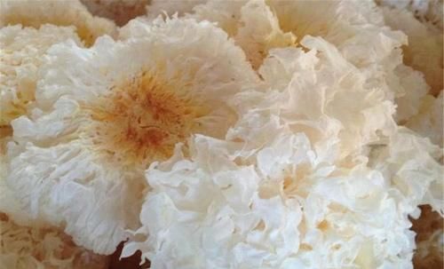 肌肤|秋天人人爱美，吃几种好的食物，肌肤好了，预防便秘，吃了不后悔