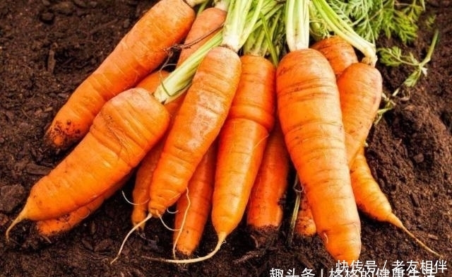 越来越|胡萝卜和此物一起煮,胃舒服了,失眠消失了,视力也越来越好