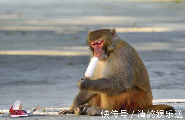 林医师|长寿其实非常简单,伦敦大学发现做好“一件事”,就能多活20年