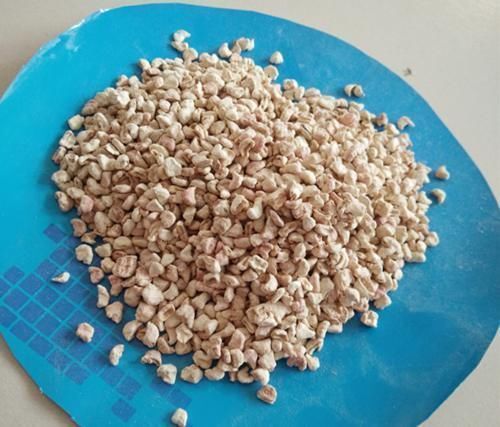 胆固醇|中国人丢掉的垃圾,在国外却是“顶级食材”,中国吃货失策了